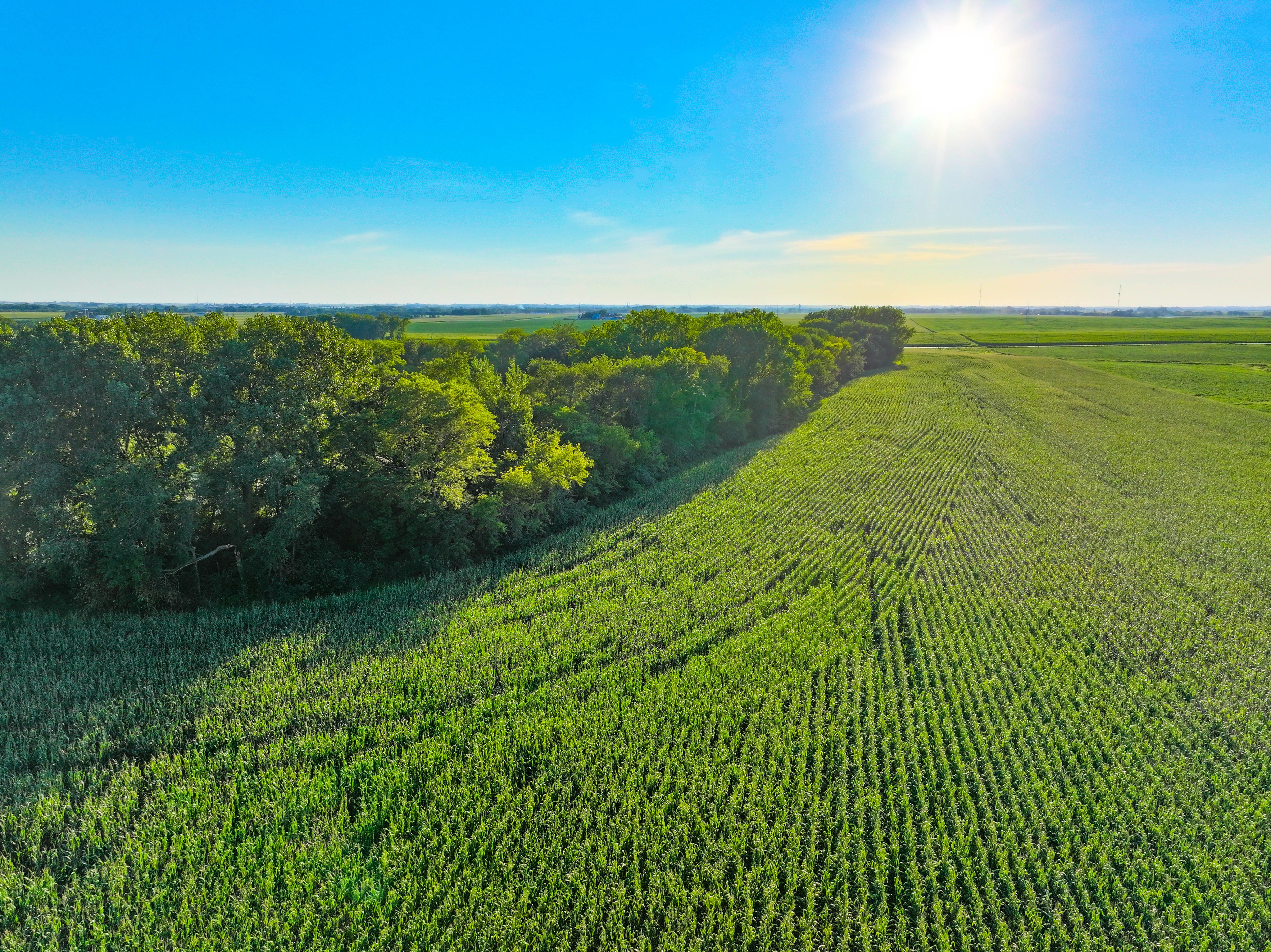 Listing Photo: 5_Buchanan County IA Land For Sale